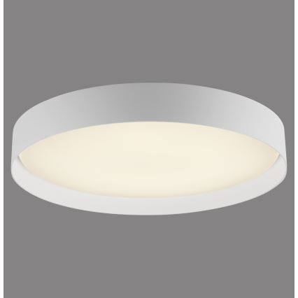 Schöner Wohnen 14595-16 - LED prigušiva plafonska svetiljka TAVOLI LED/34W/230V 2700-6500K prečnik 49 cm bela + daljinski upravljač