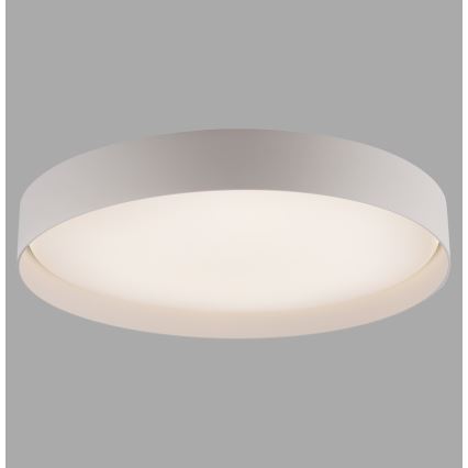 Schöner Wohnen 14595-39 - LED prigušiva plafonska lampa TAVOLI LED/34W/230V 2700-6500K prečnik 49 cm siva + daljinski upravljač