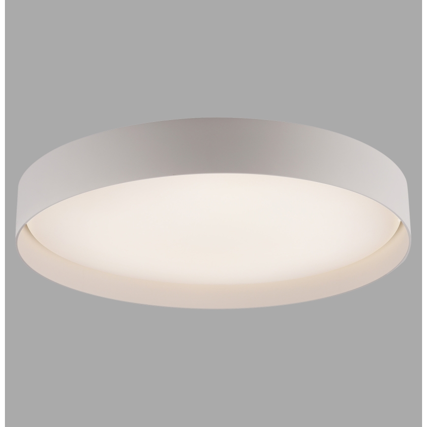 Schöner Wohnen 14595-39 - LED prigušiva plafonska lampa TAVOLI LED/34W/230V 2700-6500K prečnik 49 cm siva + daljinski upravljač