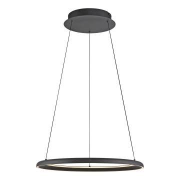 Schöner Wohnen 15570-18 - Elegantan LED luster na sajli QUILLO sa prigušiva LED/36W/230V, prečnik 60 cm, crna