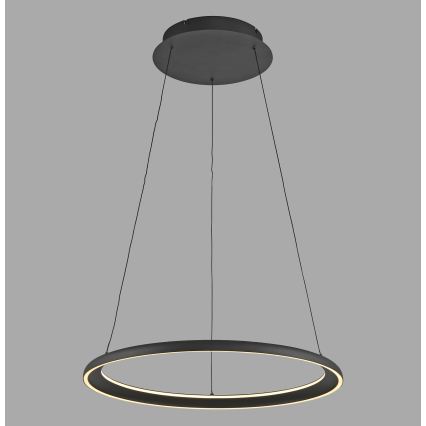 Schöner Wohnen 15570-18 - Elegantan LED luster na sajli QUILLO sa prigušiva LED/36W/230V, prečnik 60 cm, crna