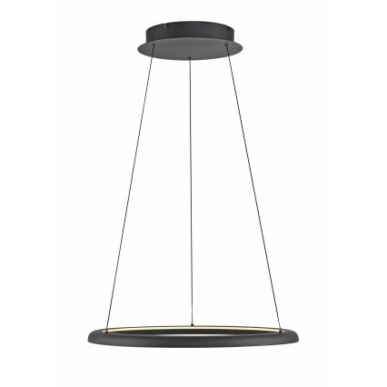 Schöner Wohnen 15570-18 - Elegantan LED luster na sajli QUILLO sa prigušiva LED/36W/230V, prečnik 60 cm, crna