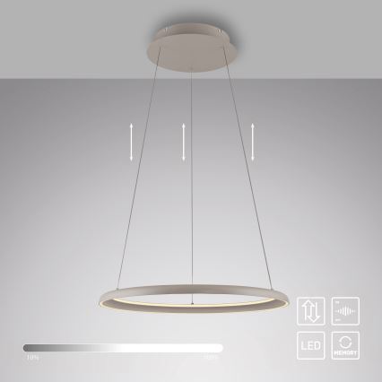 Schöner Wohnen 15570-39 - LED prigušiva viseći luster na sajli QUILLO LED/36W/230V, prečnik 60 cm, siva