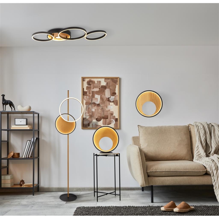 Searchlight - LED zidna svetiljka CURIO LED/11W/230V braon