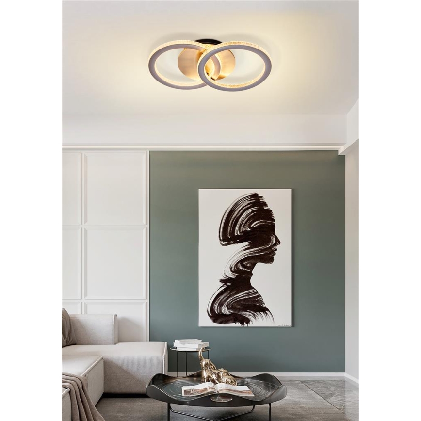 Searchlight - LED prigušiva plafonska svetiljka SPECS LED/24W/230V 3000K 25x42,5 cm