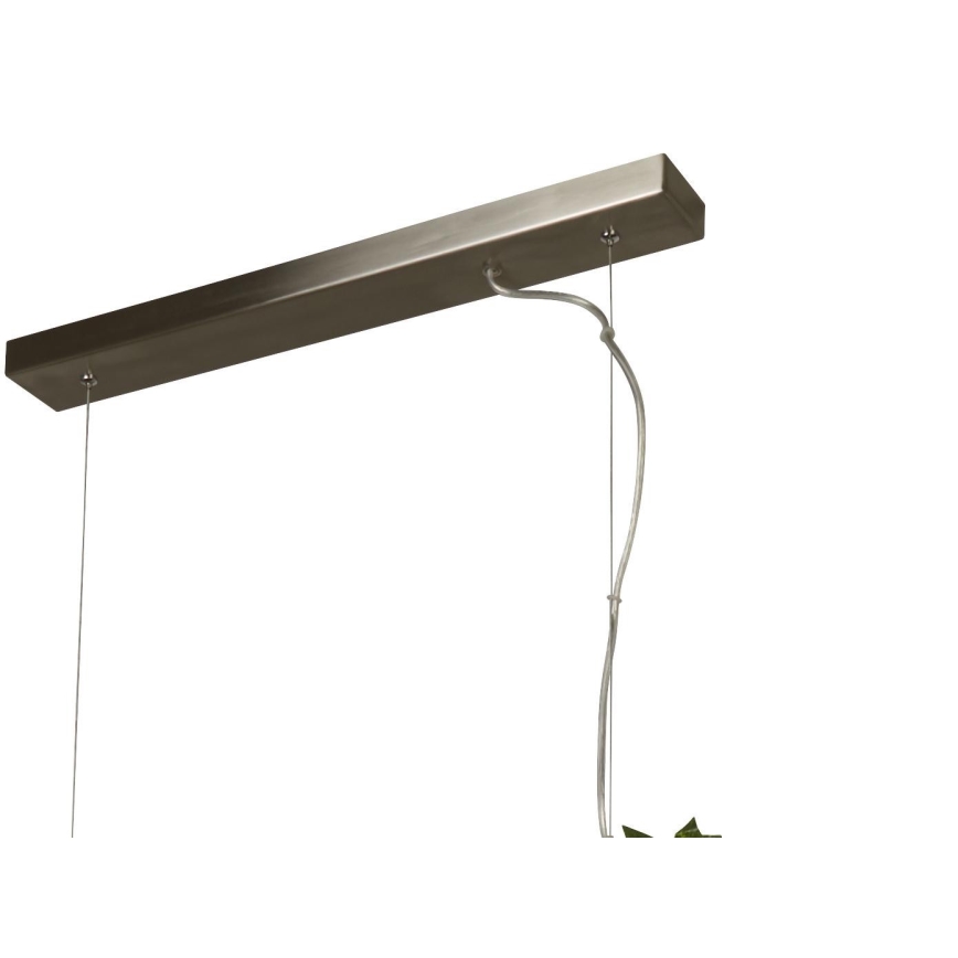 Searchlight - LED luster na sajli ASH LED/20W/230V jasen