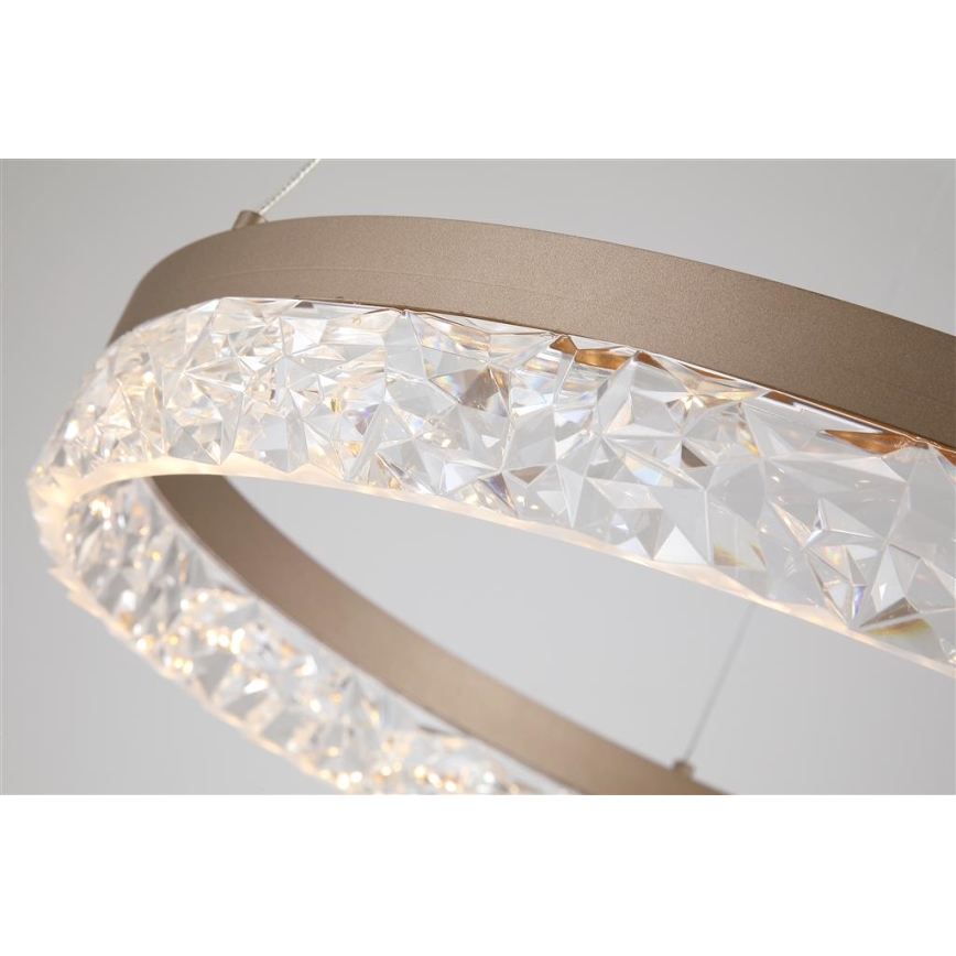 Searchlight - LED prigušiva viseći luster na sajli MADELEJNE LED/25W/230V