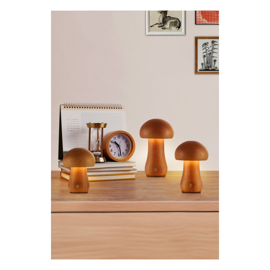 Searchlight - komplet od 3 LED stonih lampi MUSHROOM LED/1,1W/5V 800 mAh