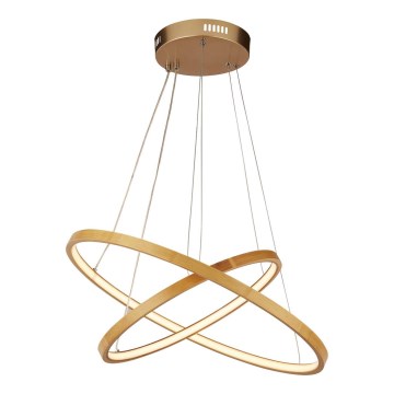 Searchlight - LED luster na sajli ETERNITY LED/12W/230V zlatni