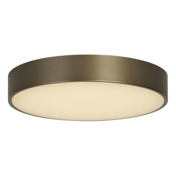 Searchlight - LED plafonska svetiljka PALMA LED/12W/230V 3000K Ø 25 cm bronzana