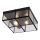 Searchlight - Plafonska svetiljka FLUSH 2xE14/40W/230V crna