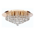 Searchlight - Plafonsko svetlo HANNA 6xG9/33W/230V