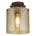 Searchlight - plafonsko svetlo SWEDEN 1xE27/60W/230V prečnik 22 cm braon/zadimljeno staklo