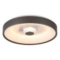 Searchlight - prigušiva LED stropna svetiljka POLKA LED/24W/230V + LED/6W prečnik 38,5 cm braon