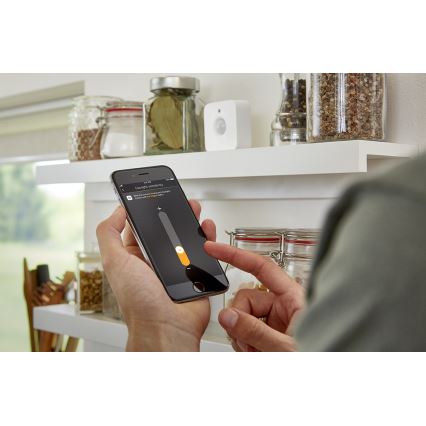 Senzor pokreta Philips Hue 2x AAA IP42
