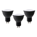 SET 3x LED sijalica ECOLINE GU10/6W/230V 4000K crna - Brilagi
