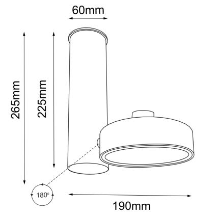 Shilo - spot svetiljka 1xGU10/15W/230V crna