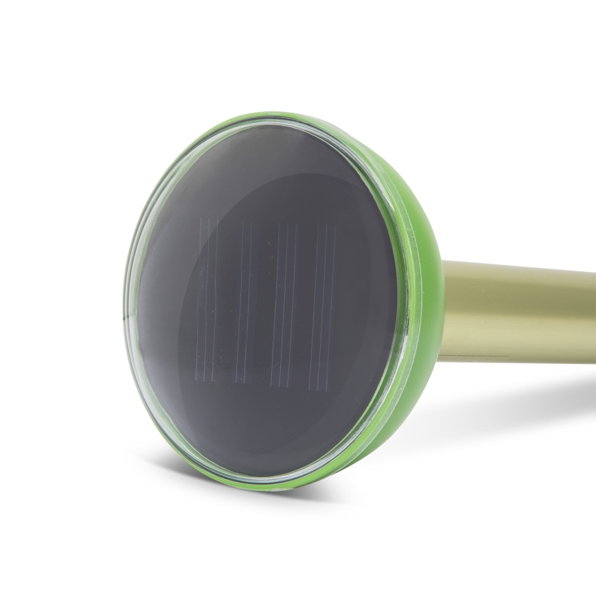 Solarni rastjerivač glodara 300 mAh