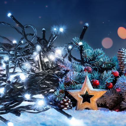 LED spoljašnji lanac 100xLED/8 funkcija 13m IP44 hladno belo