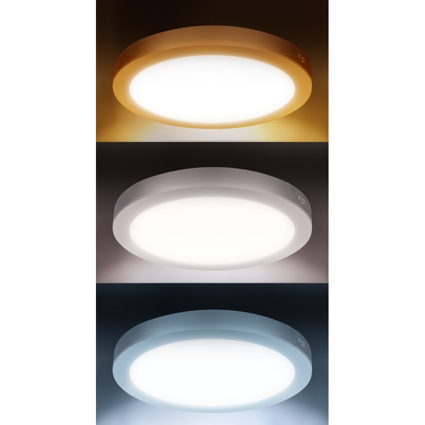 LED površinski/ugradni panel 2 u 1 18W/230V 3000/4000/6000K prečnik 22,5 cm IP54 srebran
