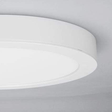 LED panel 2 u 1 za površinsku ili ugradnu montažu, 18 W/230 V, 3000/4000/6000 K, prečnik 22,5 cm, IP54, bela