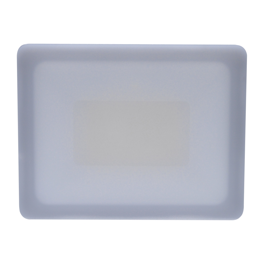 LED spoljašnji reflektor LED/30W/230V 4000K IP65