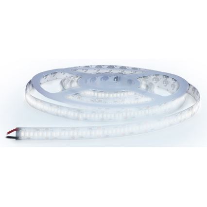 LED traka LED/80W/12V 5m hladno-bela