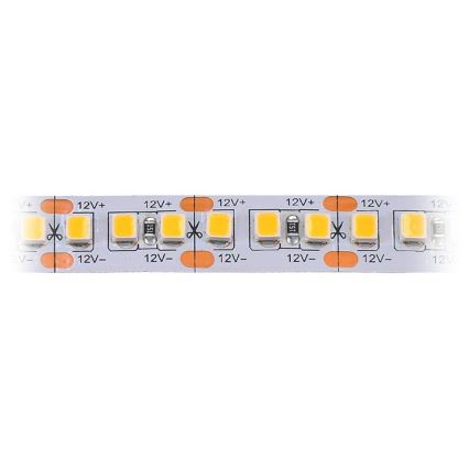 LED traka LED/80W/12V 5m hladno-bela