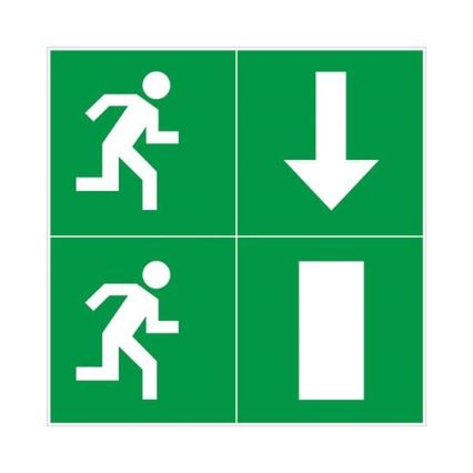 LED svetiljka za nuždu LED/6W/230V IP65 6500K