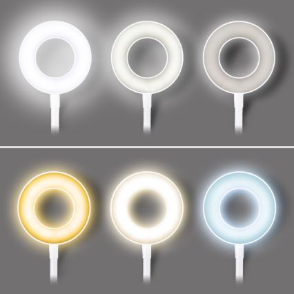 LED prigušiva stona lampa sa stezaljkom LED/8W/230V 3000/4000/5000K bela