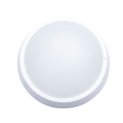 LED spoljašnje plafonsko svetlo 30W/230V IP65