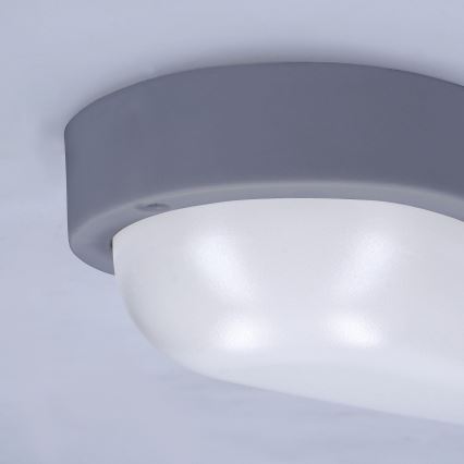 LED spoljašnje zidno svetlo LED/13W/230V 4000K IP54 sivo, ovalnog oblika