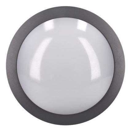 LED spoljašnje plafonsko svetlo LED/13W/230V IP54 antracit