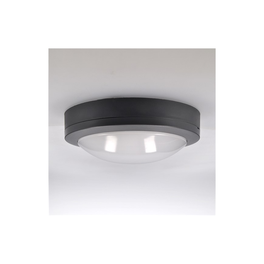 LED spoljašnje plafonsko svetlo LED/13W/230V IP54 antracit