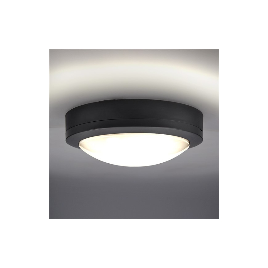 LED spoljašnje plafonsko svetlo LED/13W/230V IP54 antracit