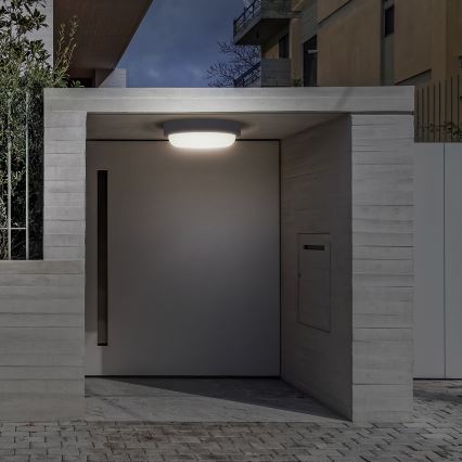 LED spoljašnje zidno svetlo LED/20W/230V 4000K IP54 sivo okruglo