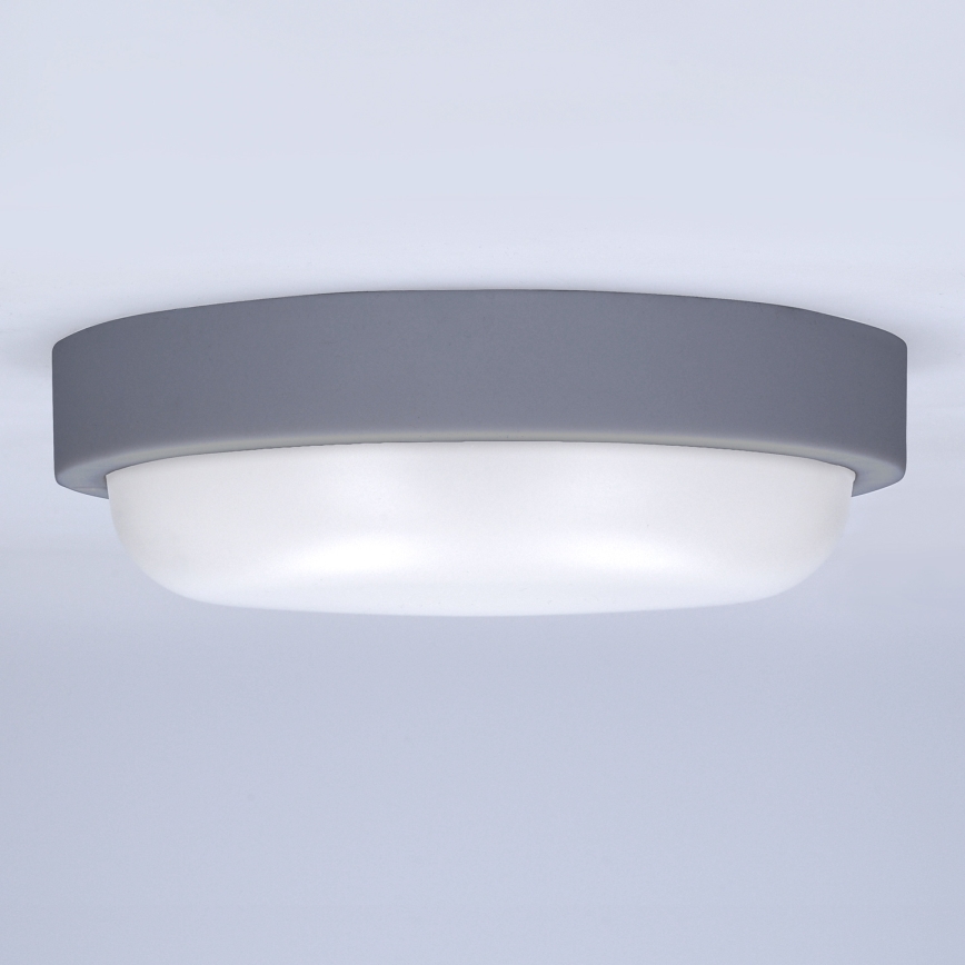 LED spoljašnje zidno svetlo LED/20W/230V 4000K IP54 sivo okruglo