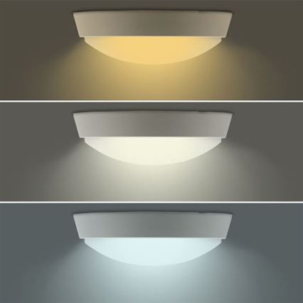 LED spoljašnje zidno svetlo 2u1 LED/20W/230V 3000/4000/6500K IP65 prečnik 22 cm