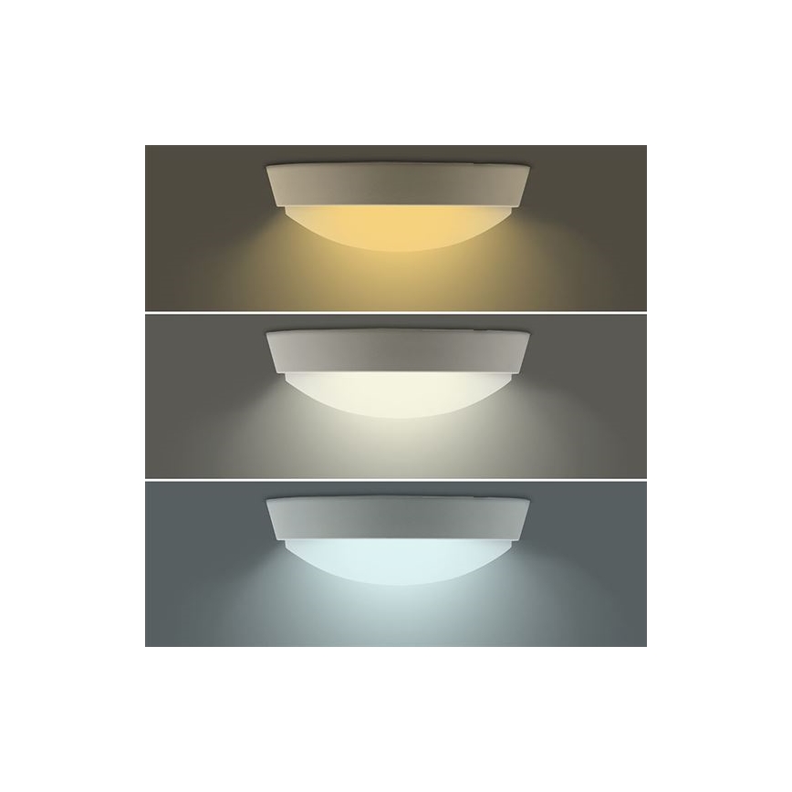LED spoljašnje zidno svetlo 2u1 LED/20W/230V 3000/4000/6500K IP65 prečnik 22 cm
