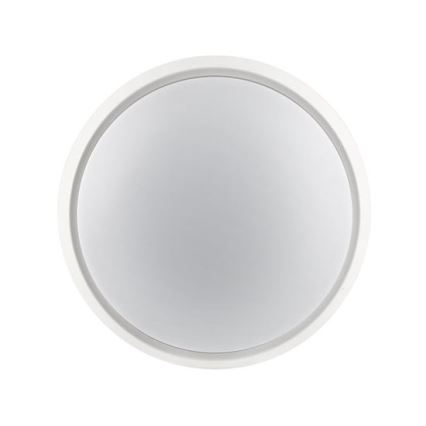 LED spoljašnje zidno svetlo 2u1 LED/20W/230V 3000/4000/6500K IP65 prečnik 22 cm