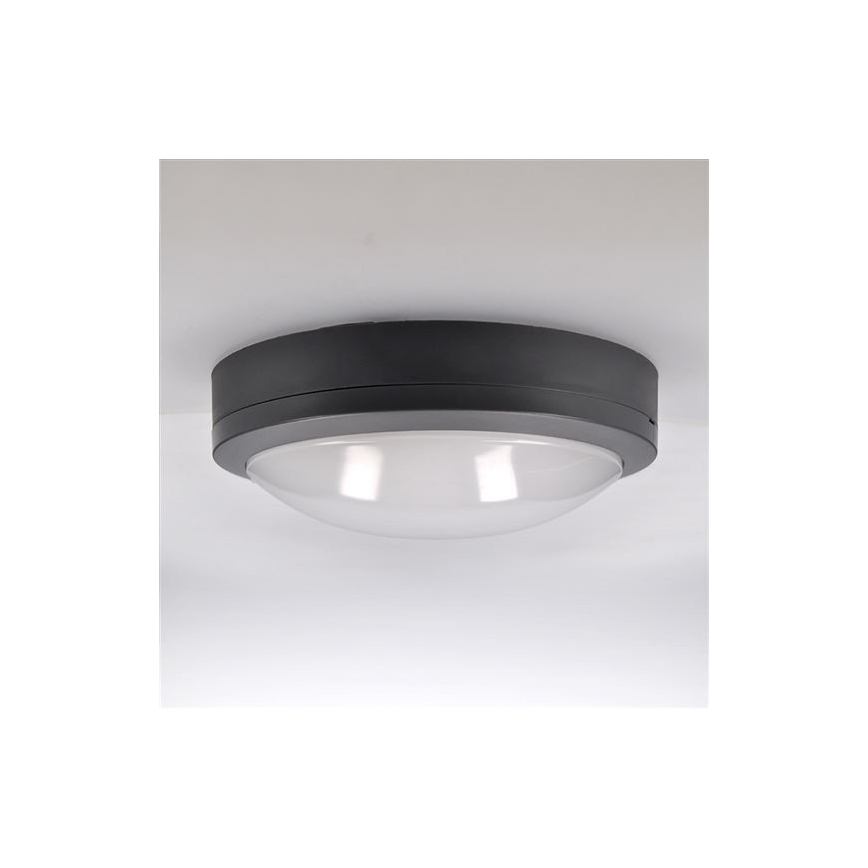 LED spoljašnje plafonsko svetlo sa senzorom SIENA LED/20W/230V 4000K, prečnik 23 cm, IP54
