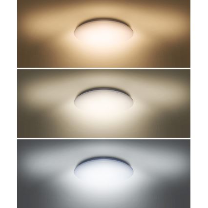 LED plafonsko svetlo PLAIN LED/36W/230V 3000/4000/6000K okruglo