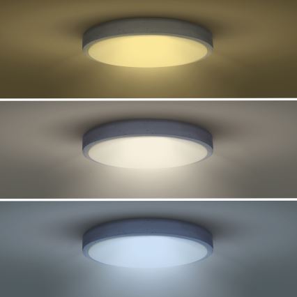 LED prigušiva stropna svetiljka GREY LED/60W/230V 3000-6500K siva, prečnik 49 cm + daljinski upravljač