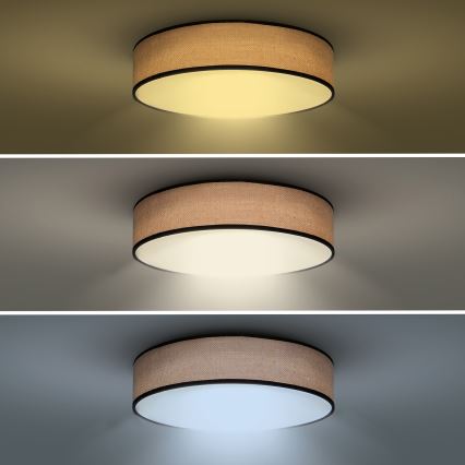 LED prigušiva plafonska svetiljka BROWNIE LED/48W/230V 3000-6500K braon, prečnik 40 cm + daljinski upravljač