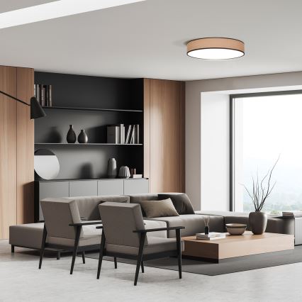 LED prigušiva plafonska svetiljka BROWNIE LED/60W/230V 3000-6500K braon prečnika 50 cm + daljinski upravljač