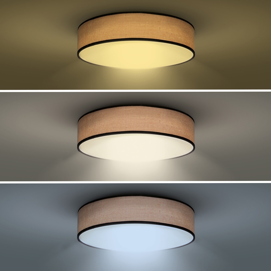 LED prigušiva plafonska svetiljka BROWNIE LED/60W/230V 3000-6500K braon prečnika 50 cm + daljinski upravljač
