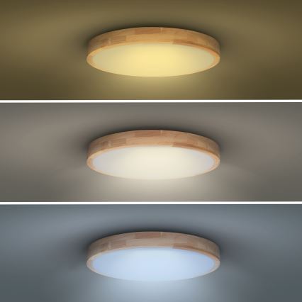 LED prigušiva plafonska lampa SOLID OAK LED/48W/230V 3000-6500K hrast prečnik 39 cm + daljinski upravljač