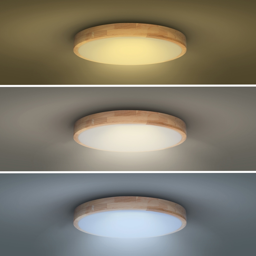 LED prigušiva plafonska lampa SOLID OAK LED/48W/230V 3000-6500K hrast prečnik 39 cm + daljinski upravljač