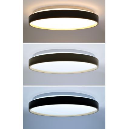 LED prigušiva stropna svetiljka CALA LED/48W/230V 3000-6500K crna/zlatna + daljinski upravljač
