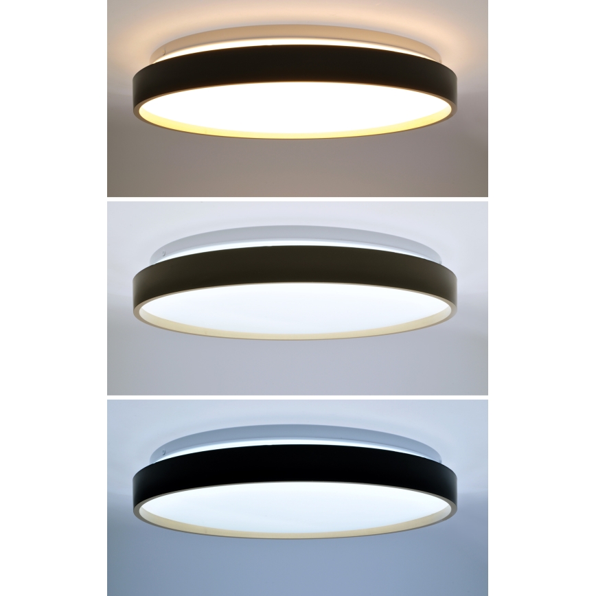 LED prigušiva stropna svetiljka CALA LED/48W/230V 3000-6500K crna/zlatna + daljinski upravljač